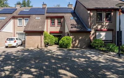 Kruiseltlan. 8