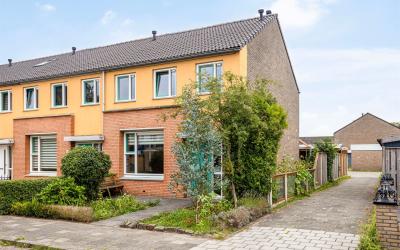 Rekkenbrink 11
