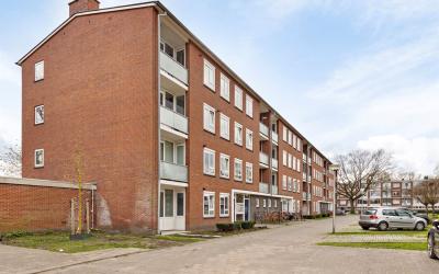 Rembrandtla. 100