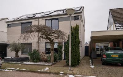 Berriehoek 7