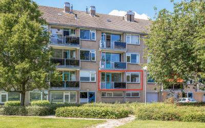 Staringstra. 250