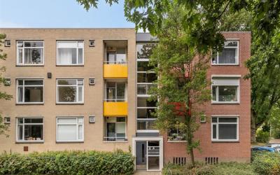 Arubastraat 12