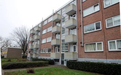 Verdistraat 50