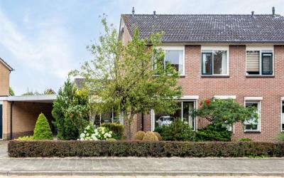 Cruys Voorb. 24