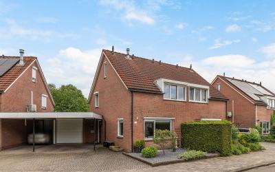 Cruys Voorb. 144
