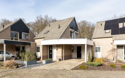 Dasstraat 11