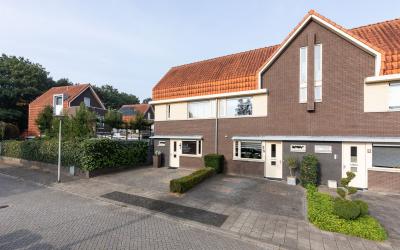 Honingbij 5