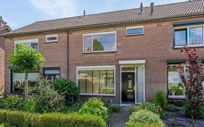 van Alphens. 8