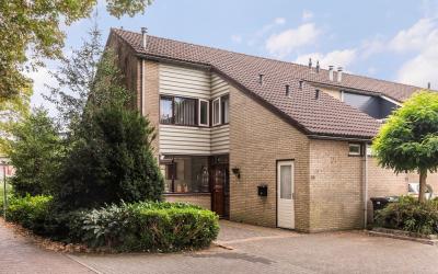 Dauwnetel 36