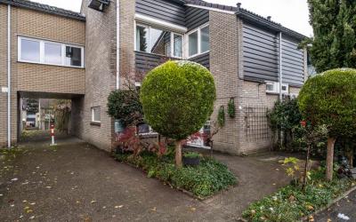Zenegroen 21