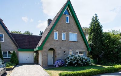 Andoorn 56