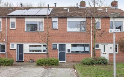 Zilverschoon 222