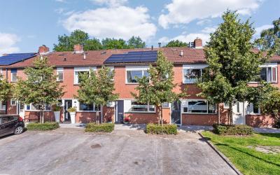 Zilverschoon 224