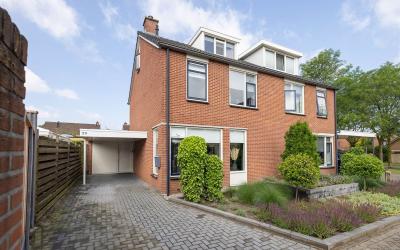 Engelwortel 29