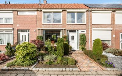Havikstraat 11
