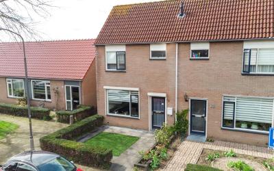 Goudenregen. 33