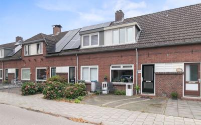 Nachtegaals. 117