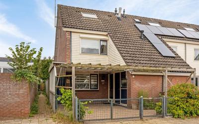 Wondedwarsw. 2