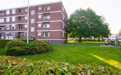 Maasstraat 146