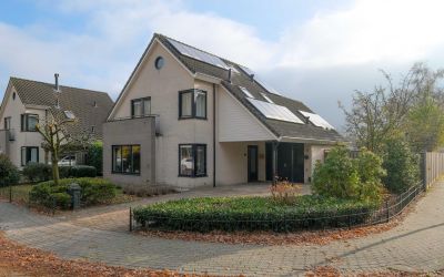 Boerhaavela. 32