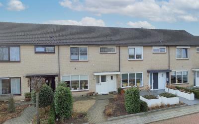 Overcinge 52