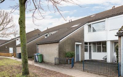 Havezathe 41