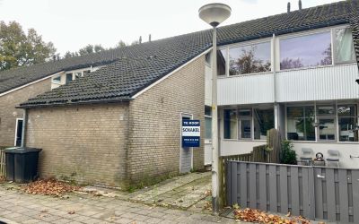 De Haere 50