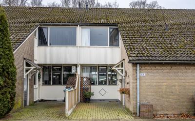 De Haere 60
