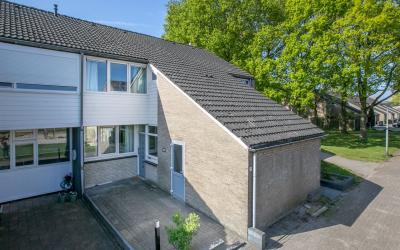 Hoenlo 37