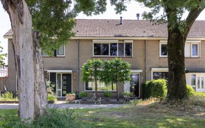 Borg Ekenst. 85