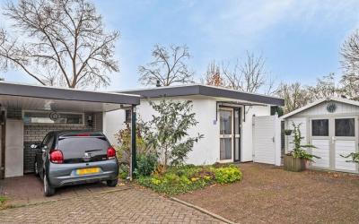 Bosbeek 9