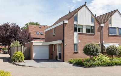 De Buizerd 46