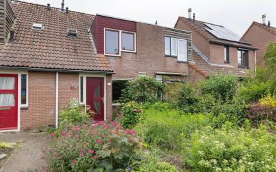 Zeven Bosjes 24