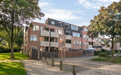 Zeven Bosjes 125