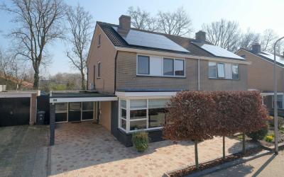 De Kolibrie 32