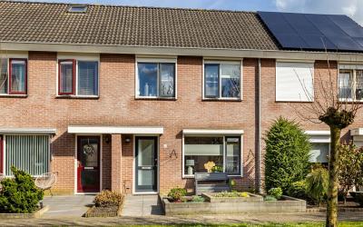 De Merel 10