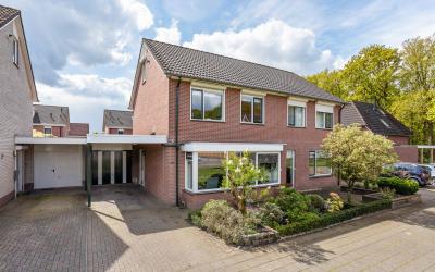 De Merel 38