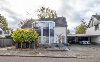 De Wulp 49