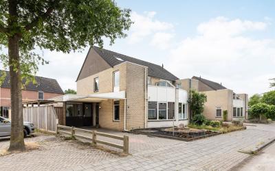 De Roerdomp 11