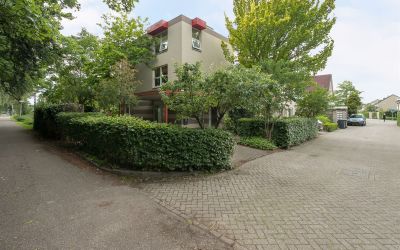 De Roerdomp 39