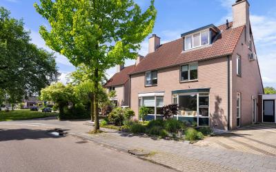 De Regenwulp 6