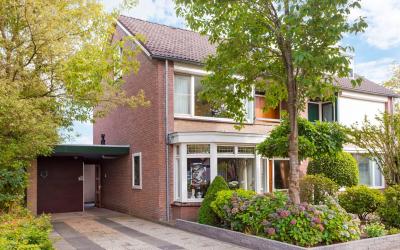 Ridderspoor 3