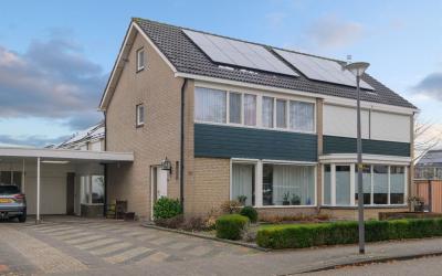 Ridderspoor 26