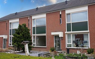Van Ghentst. 5