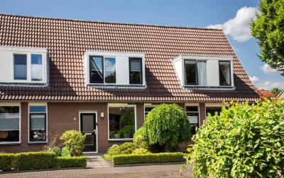 Boterbloem 3