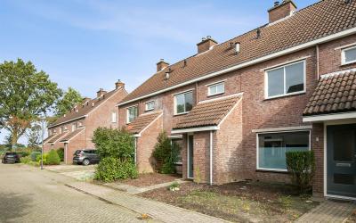Zevenblad 4
