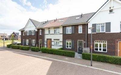 Avondroodvlinder 64