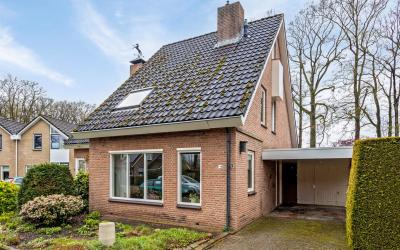 Patersbos 14
