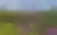 Campstede 9
