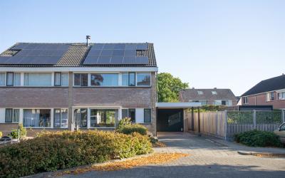 Lampertheim. 39